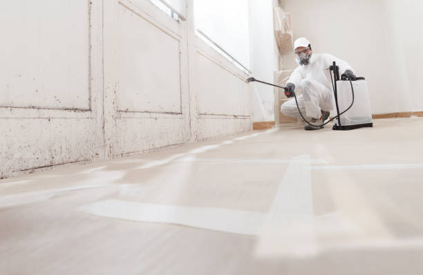 24/7 Emergency Attic Mold Removal experts in Fairhope, PA